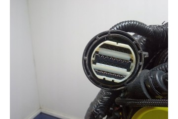 Motor de gasolina FORD C-MAX MK2 2.0 HYBRID C20EDEF