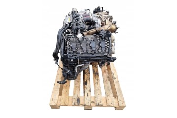 Audi S8 4 0 TFSI V8 CTF engine Part manufacturer Volkswagen OE