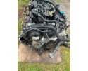 Engine Ford 1 6 JQDB COMPLETE warranty Catalog number of the part CPF128