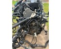 Engine Ford 1 6 JQDB COMPLETE warranty Car type passenger cars
