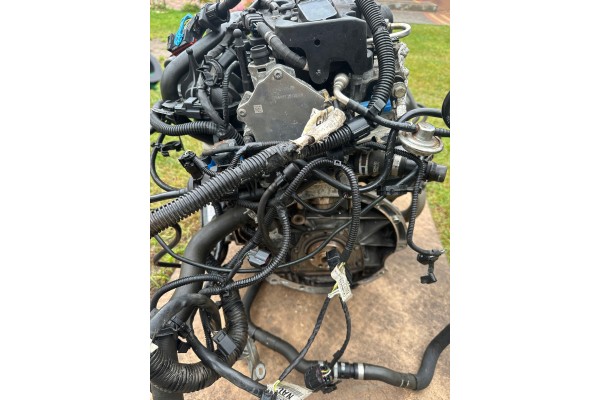 Engine Ford 1 6 JQDB COMPLETE warranty Car type passenger cars