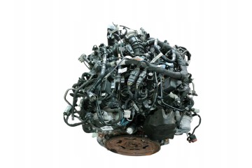 Ford Edge II 2017 Engine Catalog number of the part FG502AB