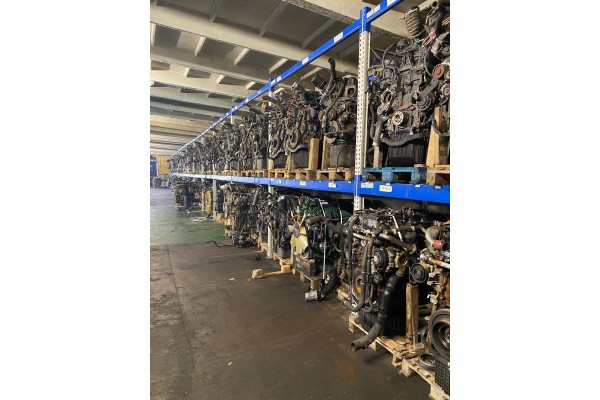Motor MAN TGA TGX TGS D2066 LF58 EURO 5