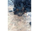 Motor Volkswagen Touran I Lift 1.4 TSI Gasolina CAVC