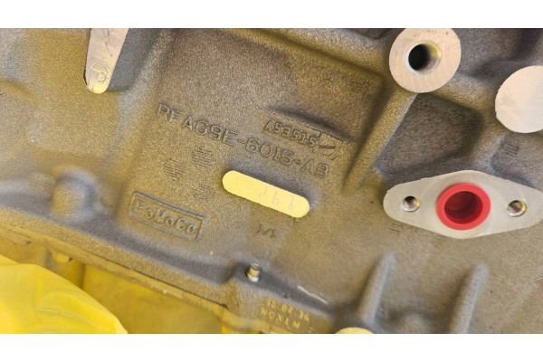 Motor Range Rover Evoque Discovery Sport 2.0 Turbo LR087710