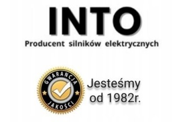 Electric motor for pontoon boat yacht car 50kW Quality of parts according to GVO Z replacement