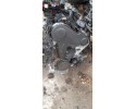Motor 2.0 TDI Completo Audi A4 B8 CAG