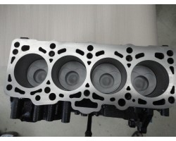 BLOCK AFTER REGENERATION VW T5 1 9 TDI AXB AXC NEW PISTONS 0 50