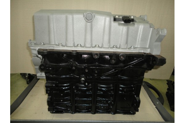 BLOCK AFTER REGENERATION VW T5 1 9 TDI AXB AXC NEW PISTONS 0 50 Catalog number of the part 038103011BJ 038100098RX