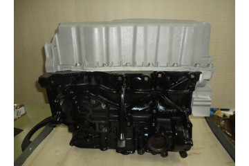 BLOCK AFTER REGENERATION VW T5 1 9 TDI AXB AXC NEW PISTONS 0 50 Car type buses trucks cargo vans RVs passenger cars