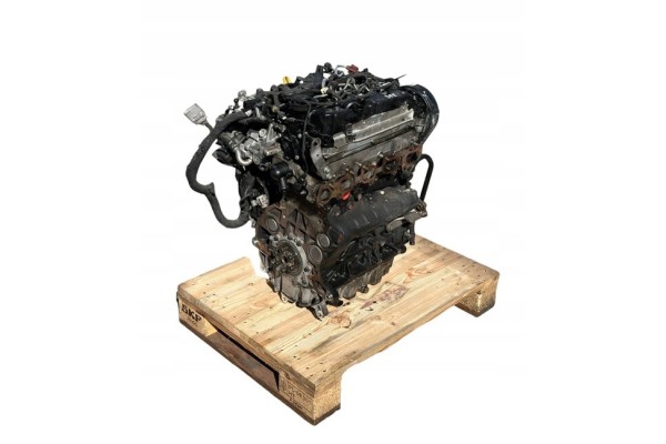 Engine VW Volkswagen Audi Skoda Seat 2 0 TDI DFE Catalog number of the part DFE