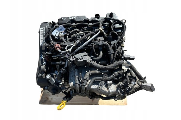 Engine VW Volkswagen Audi Skoda Seat 2 0 TDI DFE Car type 4x4 SUV cargo vans passenger cars