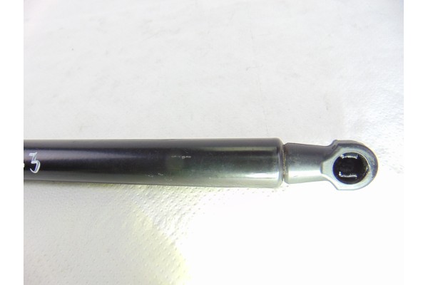 9813503380 AMORTIGUADORES CAPO PEUGEOT 508