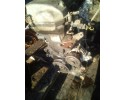 toyota corolla e12 02 07 1 4 vvti engine post Catalog number of the part 4zz fe