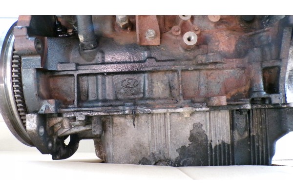 Motor Hyundai Santa Fe 2.0 CRDI D4EA