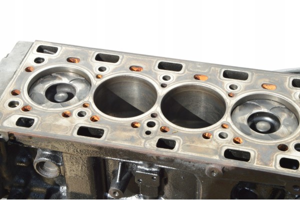 Bloque de motor completo Renault Master Movano Interstar 2.5 DCI DTI G