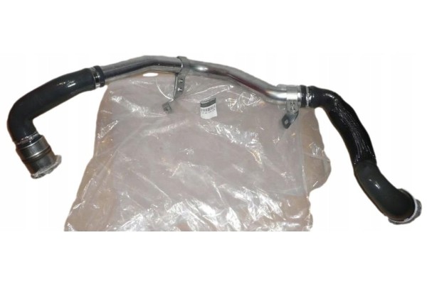 Air hose Renault Dacia 144602862R Original