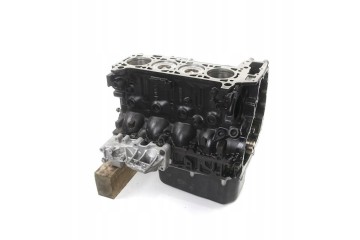 Engine block Iveco Daily 3 0 EURO5 Catalog number of the part F1CE3481K