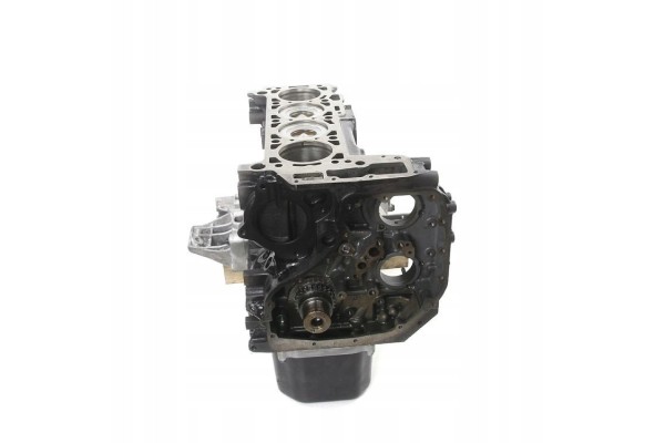Engine block Iveco Daily 3 0 EURO5 Car type cargo vans