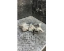Rear differential BMW X1 2017 869260202 Car type undefined