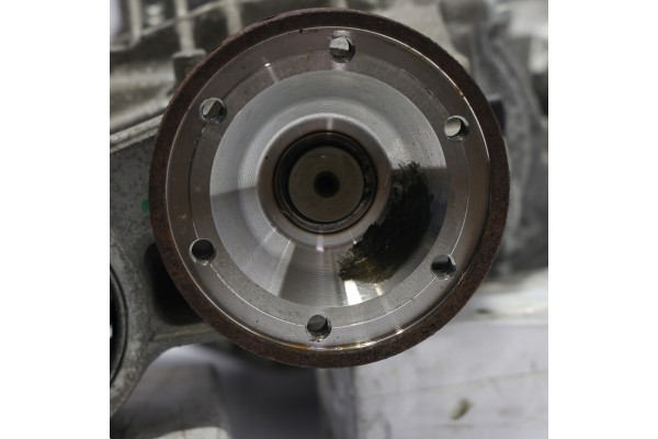 Diferencial Trasero Audi A6 C8 2.0 TFSI 44 10 RQA 09R500043C
