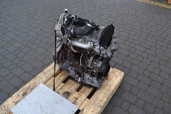 Motor Completo Transit 2.0 TDCi YLF6 YLFS Nuevo KPL Sin Turbo