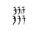 Estribos Planos Dodge RAM 1500 2019 - 2024 Juego Completo de 6 Pulgada