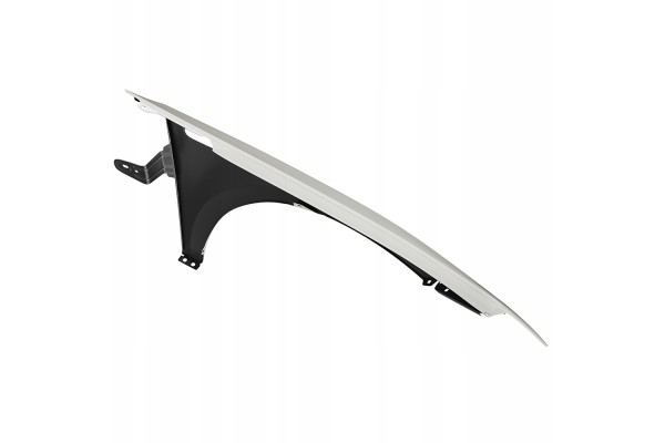 BLU Mudguard SEAT IBIZA IV 4 6J LB9A left white 08 17 front CandyWeiss Color white