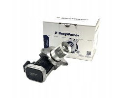 Valve AGR BorgWarner 7625D