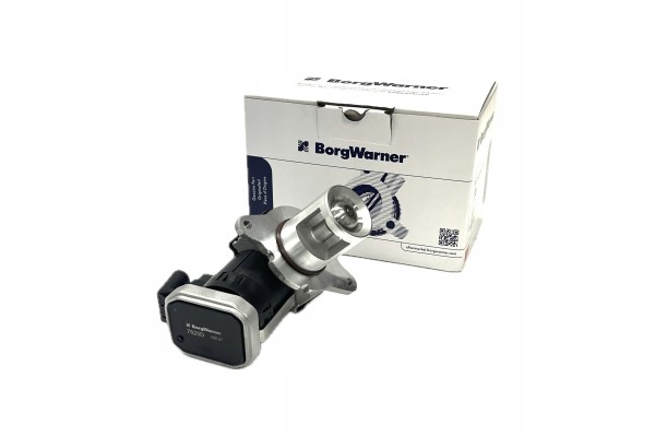 Valve AGR BorgWarner 7625D