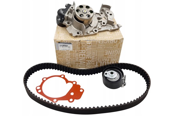 Renault OE 119A01820R timing pump 1 2 16V D4F CLIO TWINGO MODUS THALIA