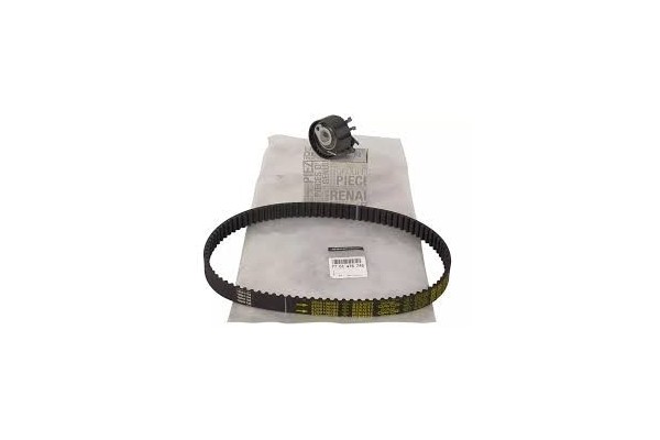 Renault OE 119A01820R timing pump 1 2 16V D4F CLIO TWINGO MODUS THALIA Packaging status original