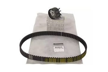 Renault OE 119A01820R timing pump 1 2 16V D4F CLIO TWINGO MODUS THALIA Packaging status original