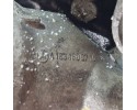 Motor Mercedes-Benz A W168 2000