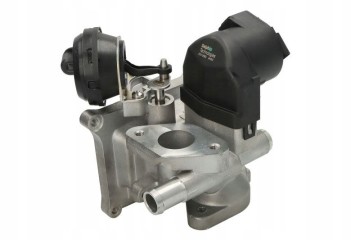 VALVE EGR DELPHI EG10562 12B1