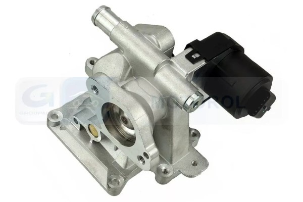 VALVE EGR DELPHI EG10562 12B1 Car type passenger cars