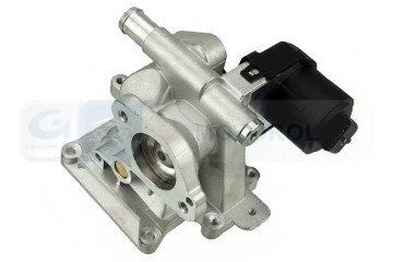 VALVE EGR DELPHI EG10562 12B1 Car type passenger cars