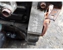 Engine Honda Jazz III 1 2 16V VTEC L12B2 Quality of parts according to GVO O original with manufacturer s logo OE