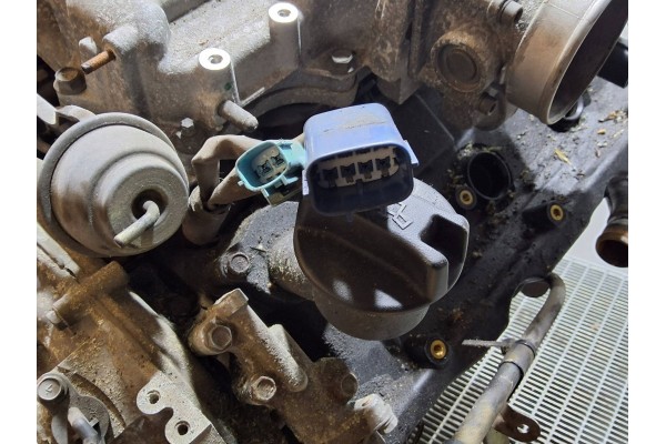 Nissan Elgrand 2004 Engine Car type passenger cars