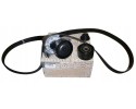 Pasek Klinowy Komplet Renault Dacia 117205040R Oryginal