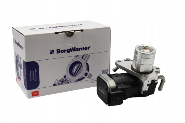 EGR Borgwarner OE valve Wahler 7375D Opel Saab