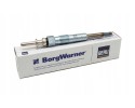 BORGWARNER BERU PSG006 Zhavici svicka