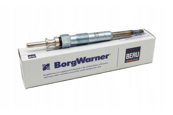 BORGWARNER BERU PSG006 Zhavici svicka