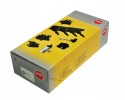 NGK 48404 NGK U6039 Ignition coil Version European