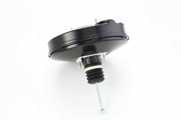 Braking force assist device ATE 03 7860 8802 4