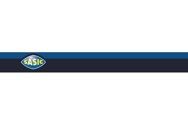 Steering gear SASIC 7376024 Quality of parts according to GVO Q original with factory logo OEM OES