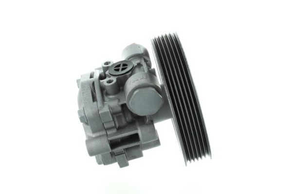 Spidan 54793 Hydraulic pump steering