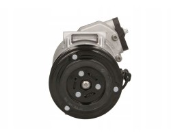 Air conditioning compressors spring DELPHI TSP0155989