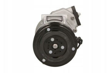 Air conditioning compressors spring DELPHI TSP0155989