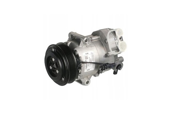 Air conditioning compressors spring DELPHI TSP0155989 Car type cargo vans passenger cars